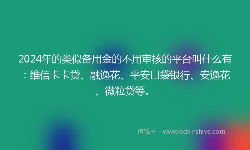 2024年的类似备用金的不用审核的平台叫什么有：维信卡卡贷、融逸花、平安口袋银行、安逸花、微粒贷等。