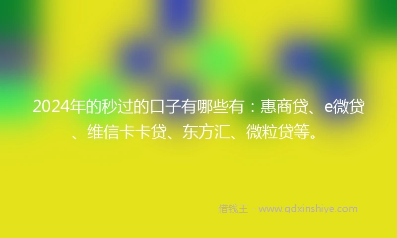 2024年的秒过的口子有哪些有：惠商贷、e微贷、维信卡卡贷、东方汇、微粒贷等。