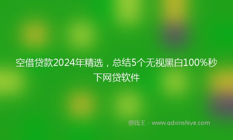 空借贷款2024年精选，总结5个无视黑白100%秒下网贷软件
