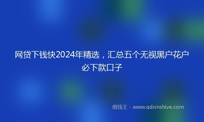 网贷下钱快2024年精选，汇总五个无视黑户花户必下款口子
