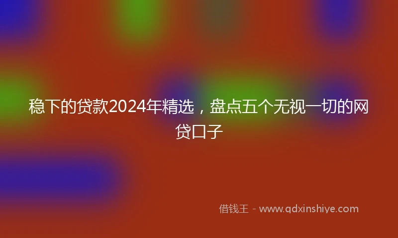 稳下的贷款2024年精选，盘点五个无视一切的网贷口子