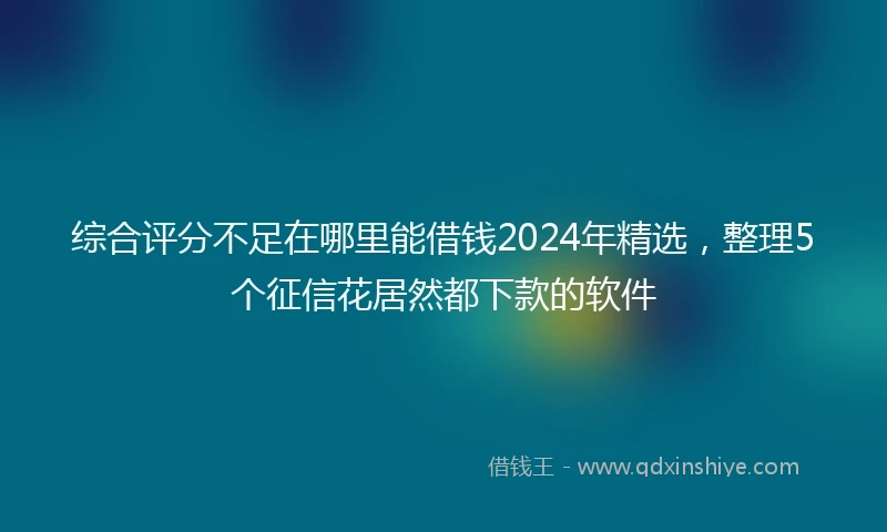 综合评分不足在哪里能借钱2024年精选，整理5个征信花居然都下款的软件