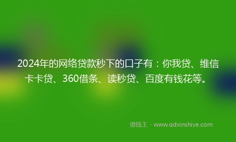 2024年的网络贷款秒下的口子有:你我贷、维信卡卡贷、360借条、读秒贷、百度有钱花等。