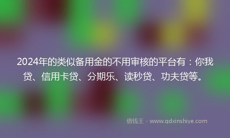 2024年的类似备用金的不用审核的平台有：你我贷、信用卡贷、分期乐、读秒贷、功夫贷等。