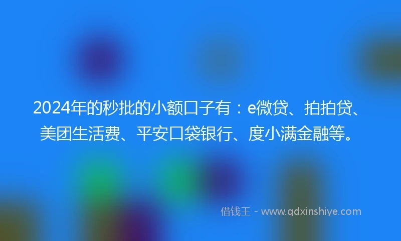 2024年的秒批的小额口子有：e微贷、拍拍贷、美团生活费、平安口袋银行、度小满金融等。