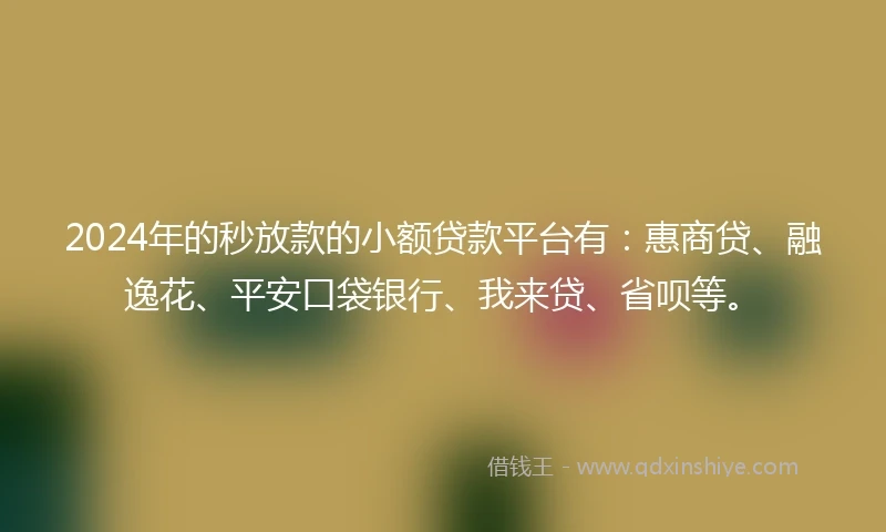 2024年的秒放款的小额贷款平台有：惠商贷、融逸花、平安口袋银行、我来贷、省呗等。