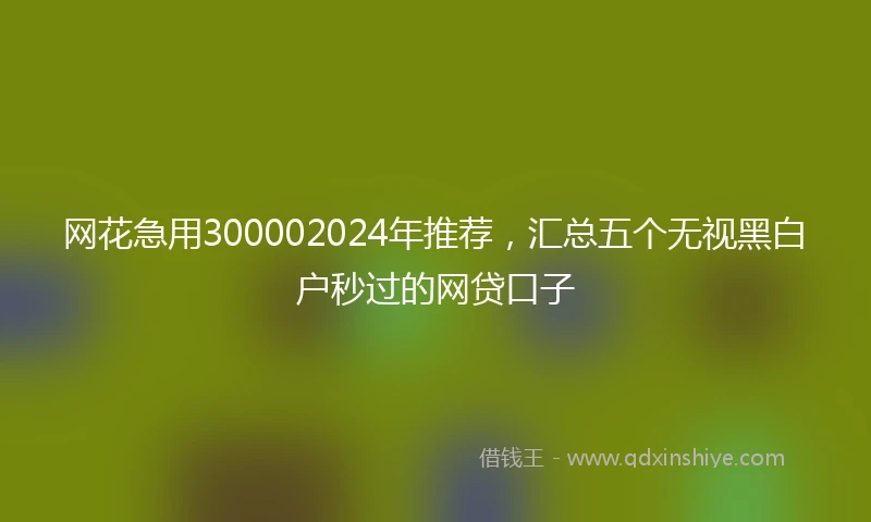 网花急用300002024年推荐，汇总五个无视黑白户秒过的网贷口子