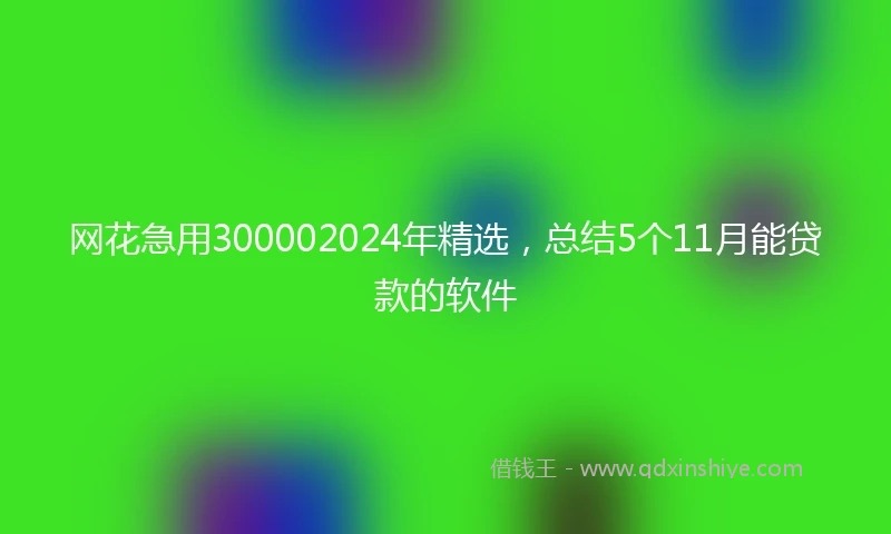 网花急用300002024年精选，总结5个11月能贷款的软件
