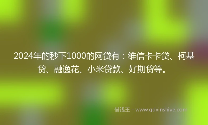 2024年的秒下1000的网贷有：维信卡卡贷、柯基贷、融逸花、小米贷款、好期贷等。