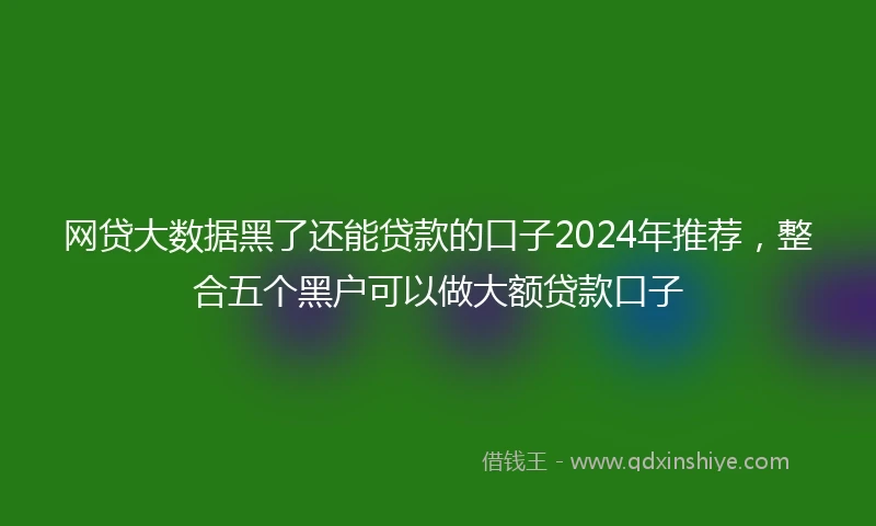 网贷大数据黑了还能贷款的口子2024年推荐，整合五个黑户可以做大额贷款口子