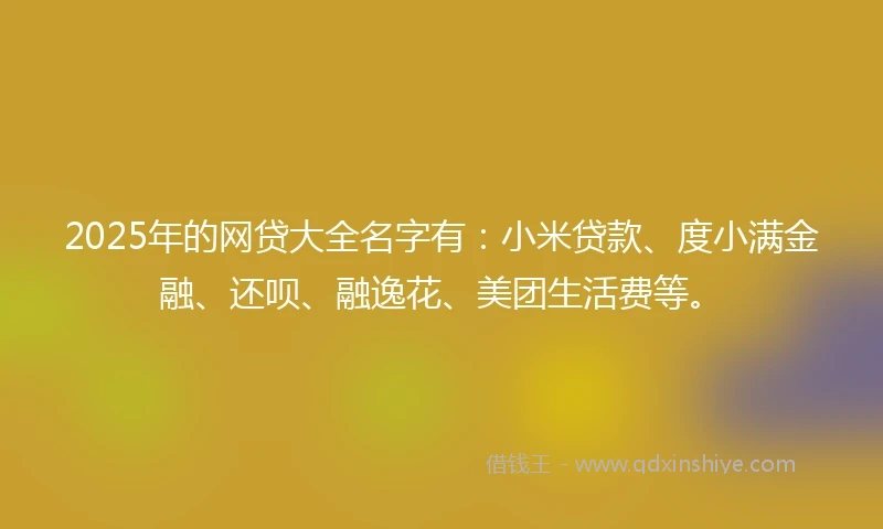 2025年的网贷大全名字有：小米贷款、度小满金融、还呗、融逸花、美团生活费等。