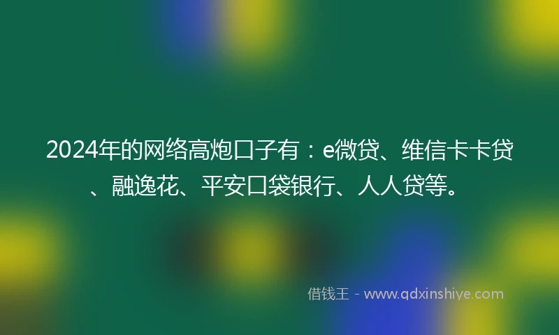 2024年的网络高炮口子有：e微贷、维信卡卡贷、融逸花、平安口袋银行、人人贷等。