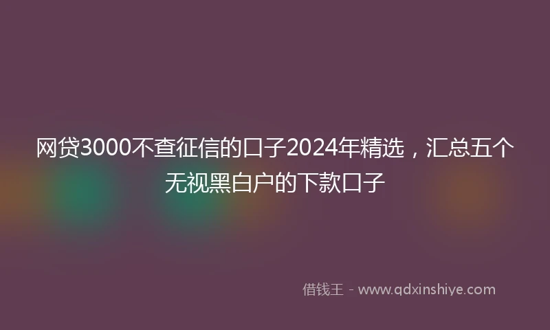 网贷3000不查征信的口子2024年精选，汇总五个无视黑白户的下款口子