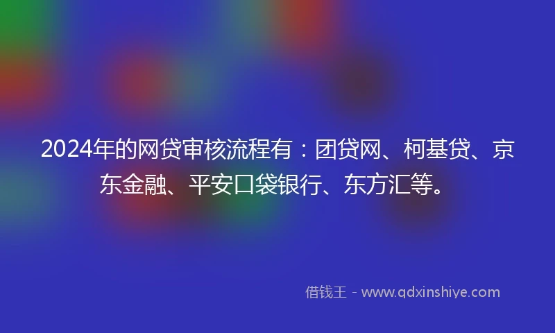 2024年的网贷审核流程有：团贷网、柯基贷、京东金融、平安口袋银行、东方汇等。