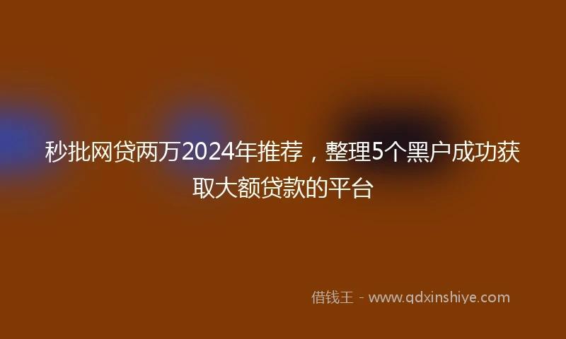 秒批网贷两万2024年推荐，整理5个黑户成功获取大额贷款的平台