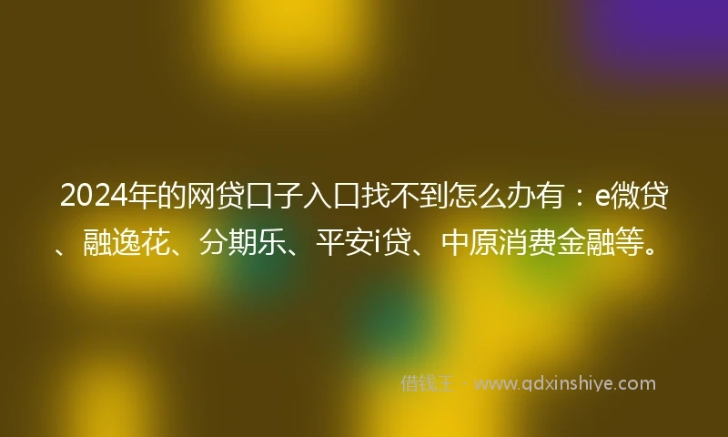 2024年的网贷口子入口找不到怎么办有：e微贷、融逸花、分期乐、平安i贷、中原消费金融等。