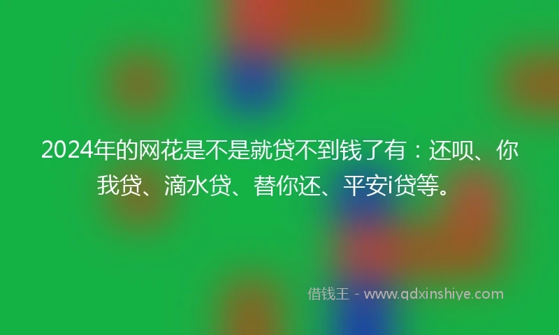2024年的网花是不是就贷不到钱了有：还呗、你我贷、滴水贷、替你还、平安i贷等。