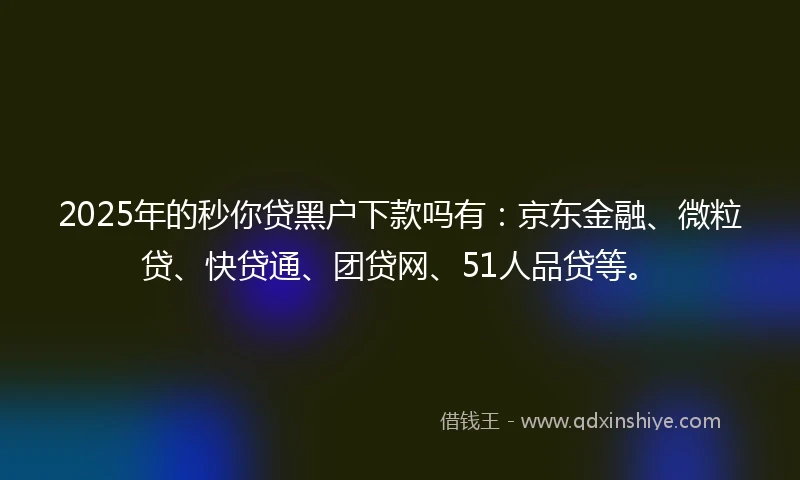 2025年的秒你贷黑户下款吗有：京东金融、微粒贷、快贷通、团贷网、51人品贷等。