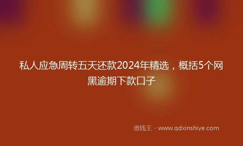 私人应急周转五天还款2024年精选，概括5个网黑逾期下款口子