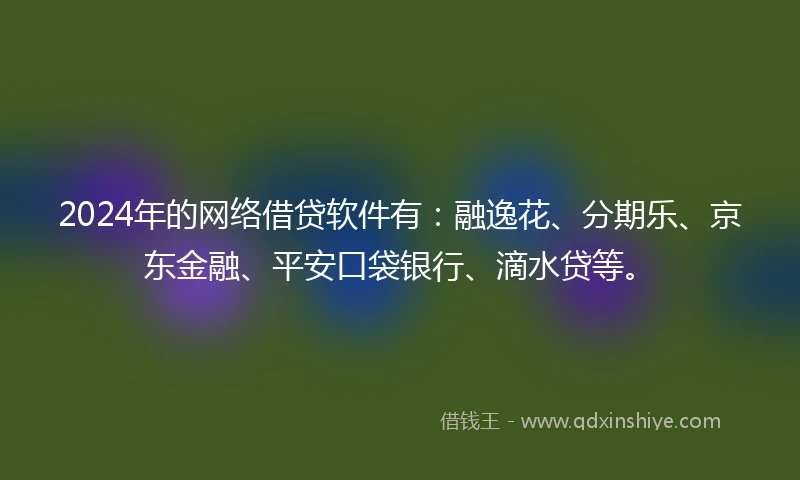 2024年的网络借贷软件有：融逸花、分期乐、京东金融、平安口袋银行、滴水贷等。