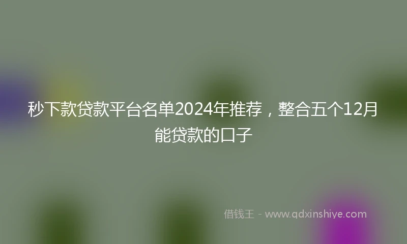 秒下款贷款平台名单2024年推荐，整合五个12月能贷款的口子