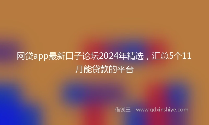 网贷app最新口子论坛2024年精选，汇总5个11月能贷款的平台