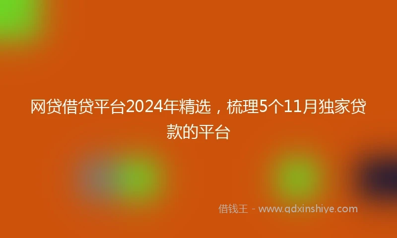 网贷借贷平台2024年精选，梳理5个11月独家贷款的平台