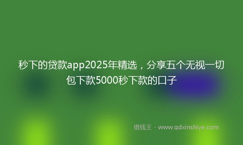 秒下的贷款app2025年精选，分享五个无视一切包下款5000秒下款的口子