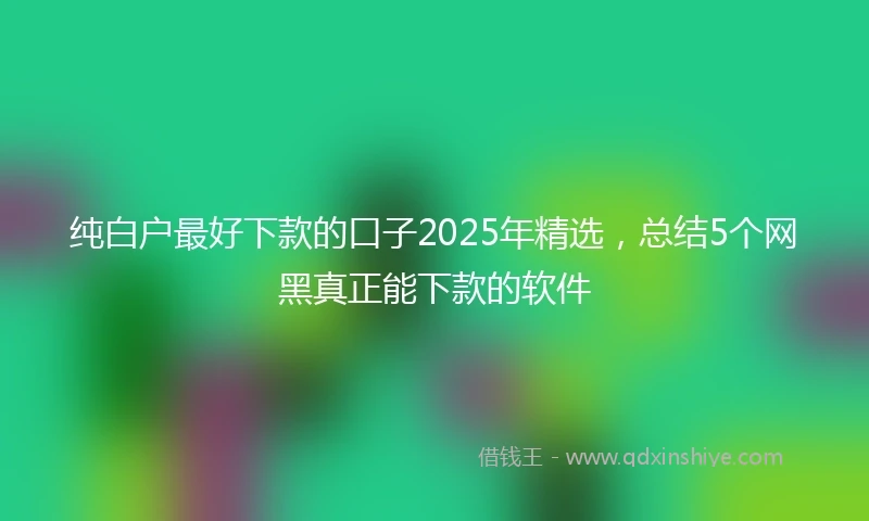 纯白户最好下款的口子2025年精选，总结5个网黑真正能下款的软件