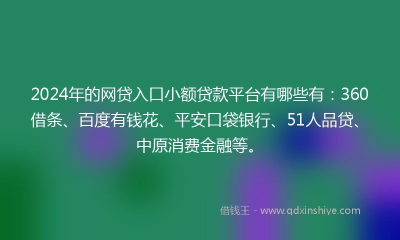 2024年的网贷入口小额贷款平台有哪些有：360借条、百度有钱花、平安口袋银行、51人品贷、中原消费金融等。