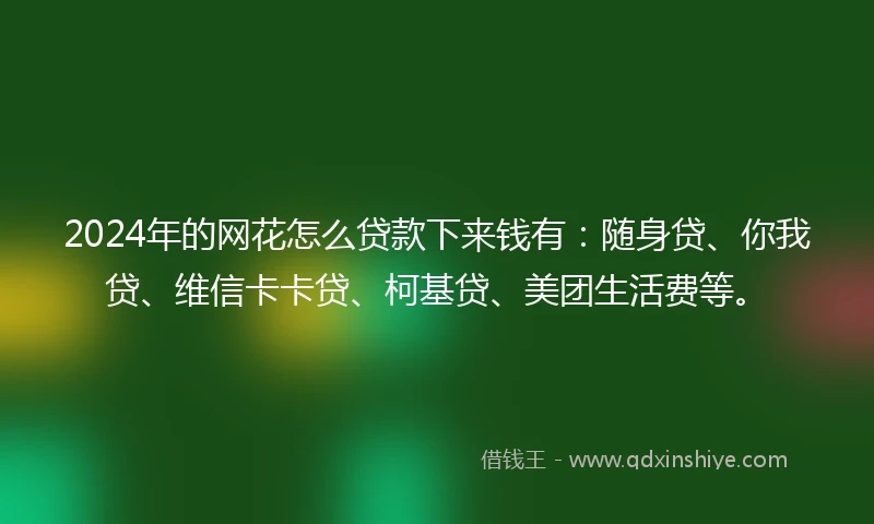 2024年的网花怎么贷款下来钱有：随身贷、你我贷、维信卡卡贷、柯基贷、美团生活费等。
