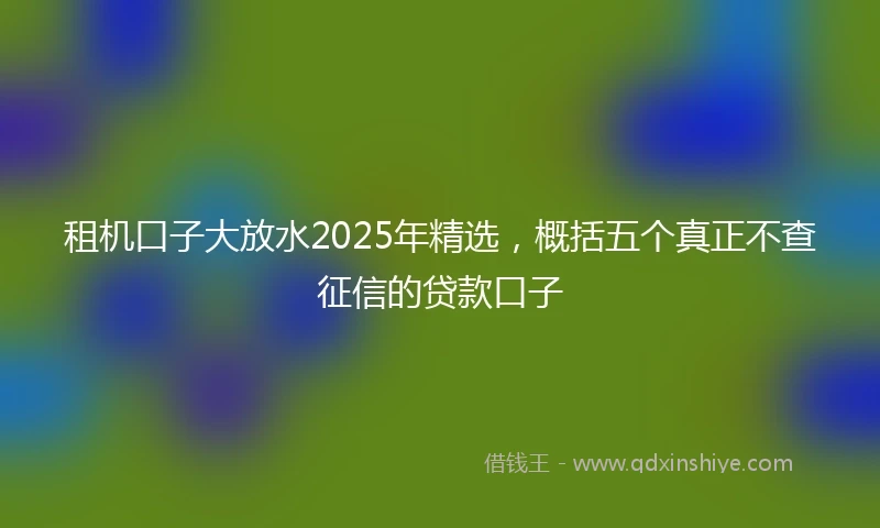 租机口子大放水2025年精选，概括五个真正不查征信的贷款口子