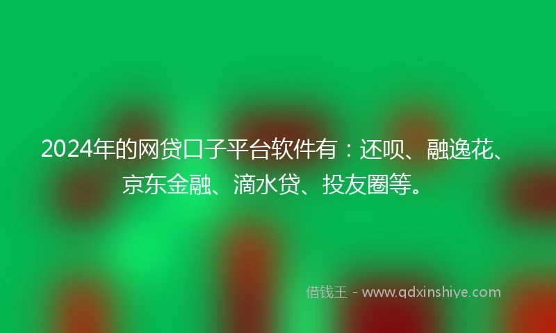 2024年的网贷口子平台软件有：还呗、融逸花、京东金融、滴水贷、投友圈等。
