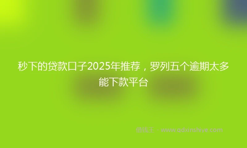 秒下的贷款口子2025年推荐，罗列五个逾期太多能下款平台