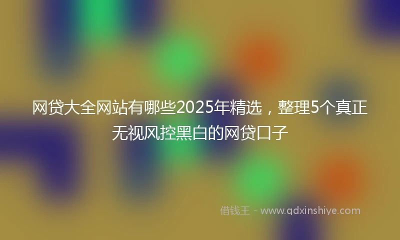 网贷大全网站有哪些2025年精选，整理5个真正无视风控黑白的网贷口子