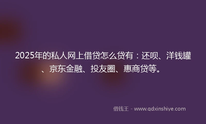 2025年的私人网上借贷怎么贷有：还呗、洋钱罐、京东金融、投友圈、惠商贷等。