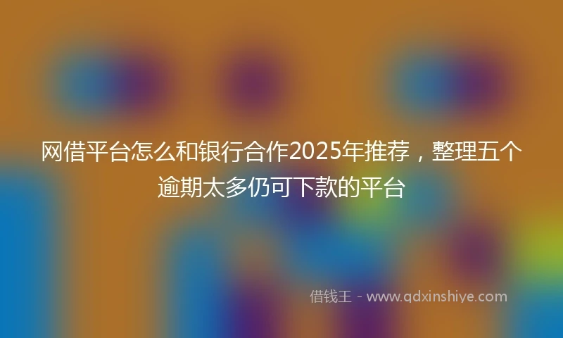 网借平台怎么和银行合作2025年推荐，整理五个逾期太多仍可下款的平台