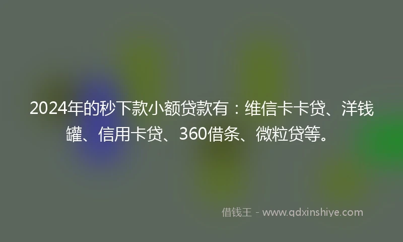 2024年的秒下款小额贷款有：维信卡卡贷、洋钱罐、信用卡贷、360借条、微粒贷等。