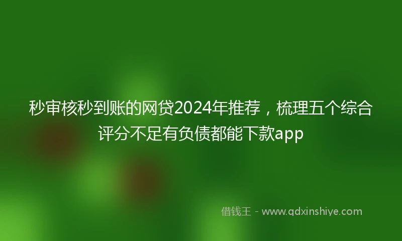 秒审核秒到账的网贷2024年推荐，梳理五个综合评分不足有负债都能下款app