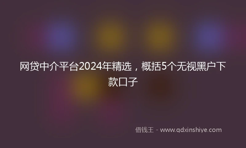网贷中介平台2024年精选，概括5个无视黑户下款口子