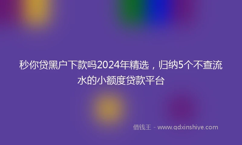 秒你贷黑户下款吗2024年精选，归纳5个不查流水的小额度贷款平台
