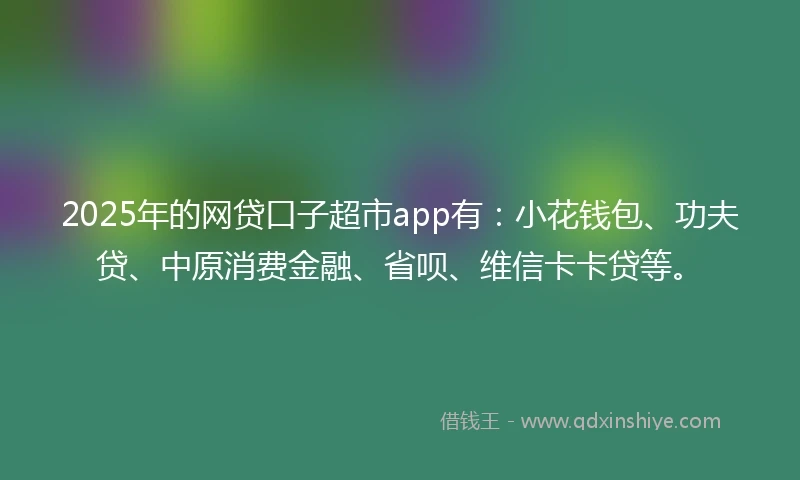 2025年的网贷口子超市app有:小花钱包、功夫贷、中原消费金融、省呗、维信卡卡贷等。