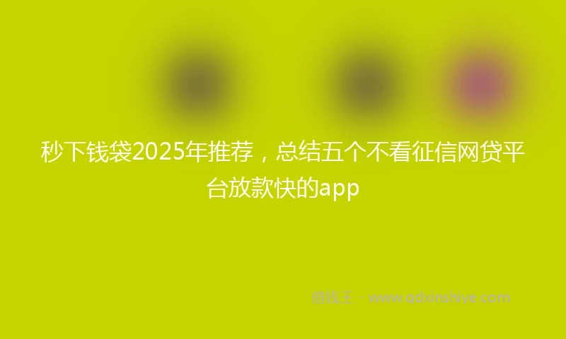 秒下钱袋2025年推荐，总结五个不看征信网贷平台放款快的app