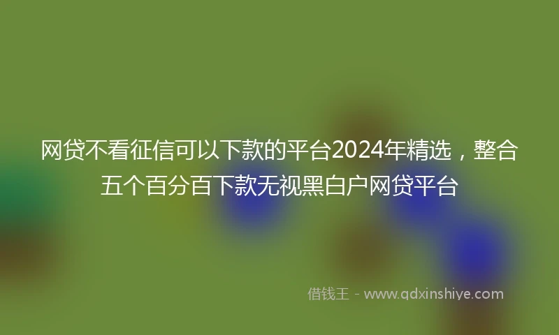 网贷不看征信可以下款的平台2024年精选，整合五个百分百下款无视黑白户网贷平台