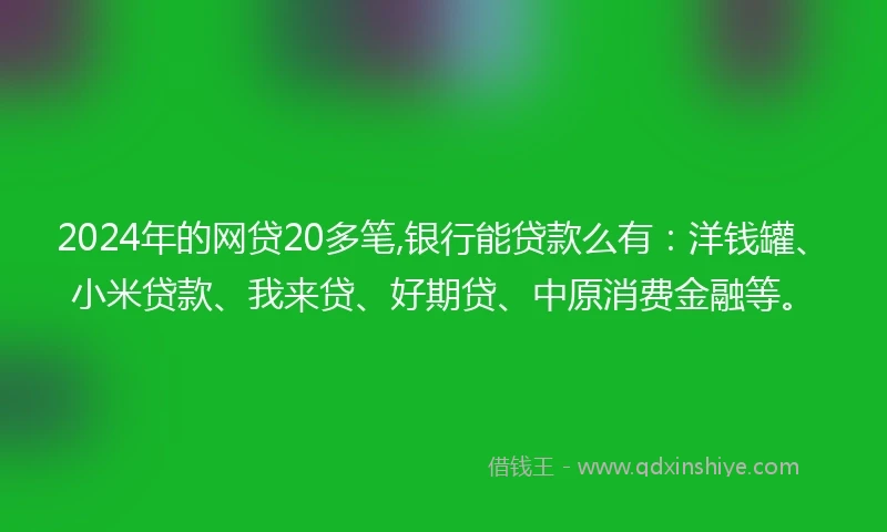 2024年的网贷20多笔,银行能贷款么有：洋钱罐、小米贷款、我来贷、好期贷、中原消费金融等。