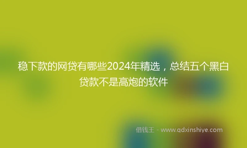 稳下款的网贷有哪些2024年精选，总结五个黑白贷款不是高炮的软件