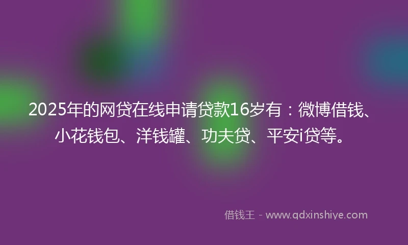 2025年的网贷在线申请贷款16岁有：微博借钱、小花钱包、洋钱罐、功夫贷、平安i贷等。