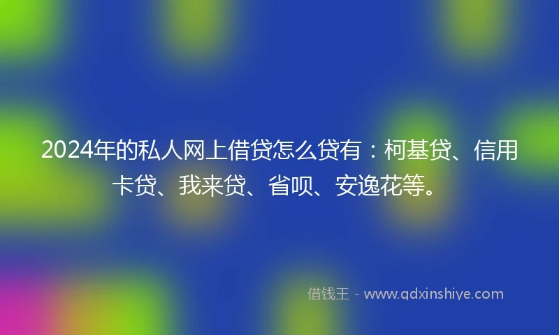 2024年的私人网上借贷怎么贷有：柯基贷、信用卡贷、我来贷、省呗、安逸花等。