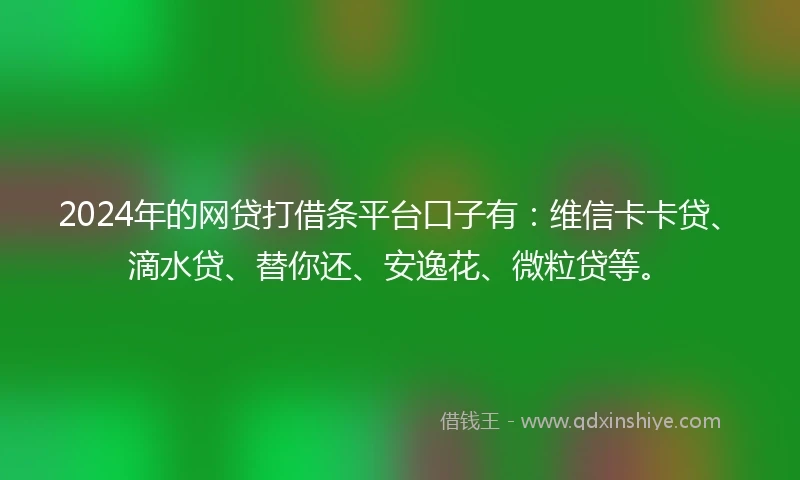2024年的网贷打借条平台口子有：维信卡卡贷、滴水贷、替你还、安逸花、微粒贷等。