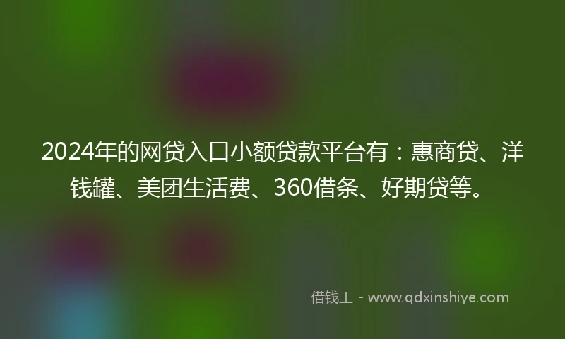2024年的网贷入口小额贷款平台有：惠商贷、洋钱罐、美团生活费、360借条、好期贷等。